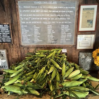 Youngs Farm - Corn - Fruits & Veggies Near Me - Glen Head, New York