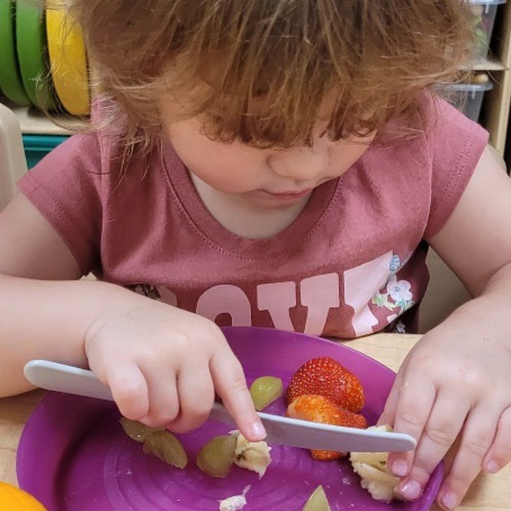 ICS Coral Gables | Daycare & Private Preschool - Preschools Near Me - Coral Gables, Florida