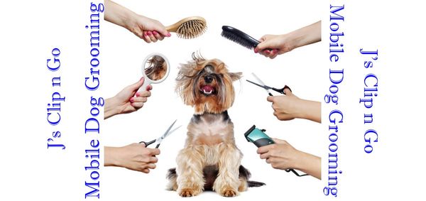 J's Mobile Dog Grooming