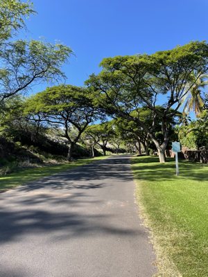 Manele Golf Course by null