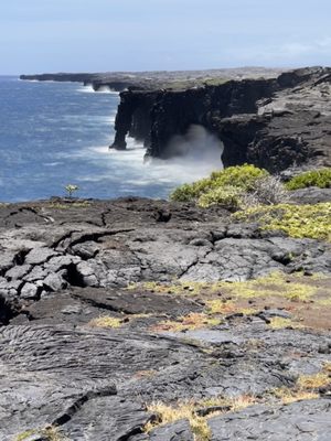Hōlei Sea Arch by null