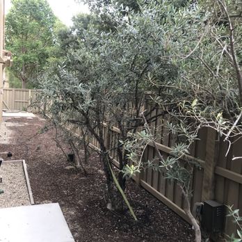 C&R Pavers - side yard before remodel - Masonry/Concrete Near Me - Escondido, California C&R Pavers - side yard before remodel - Masonry/Concrete Near Me - Escondido, California