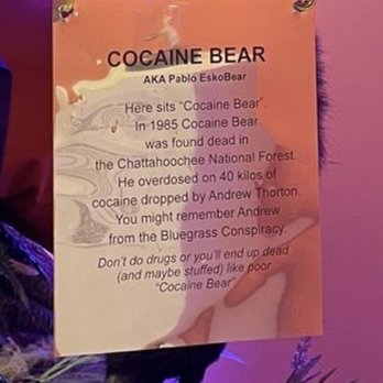 Kentucky For Kentucky - Cocaine Bear! - Souvenir Shops Near Me - Lexington, Kentucky Kentucky For Kentucky - Cocaine Bear! - Souvenir Shops Near Me - Lexington, Kentucky