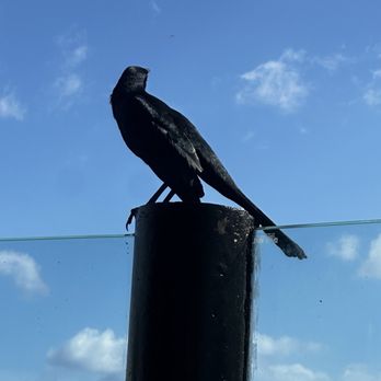 Viento Restaurante - Mexican Near Me - Cancún, ROO