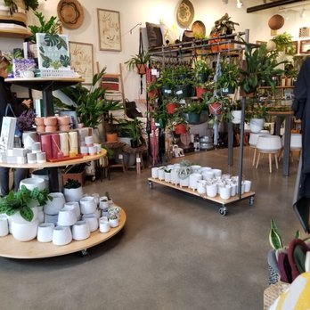 ECOVIBE - Beautiful displays - Home Decor Near Me - Portland, Oregon ECOVIBE - Beautiful displays - Home Decor Near Me - Portland, Oregon
