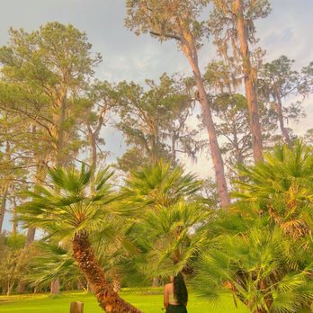 Alfred B  Maclay Gardens State Park - picture perfect - Parks Near Me - Tallahassee, Florida