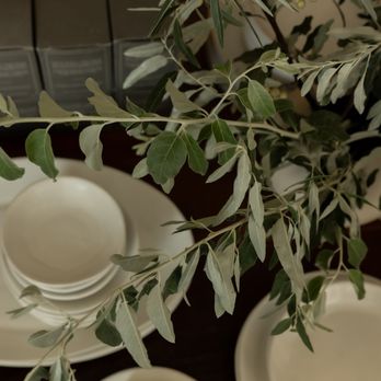 Verdant - Flowers for walk in and delivery everyday of the week! - Florists Near Me - Kansas City, Missouri Verdant - Flowers for walk in and delivery everyday of the week! - Florists Near Me - Kansas City, Missouri