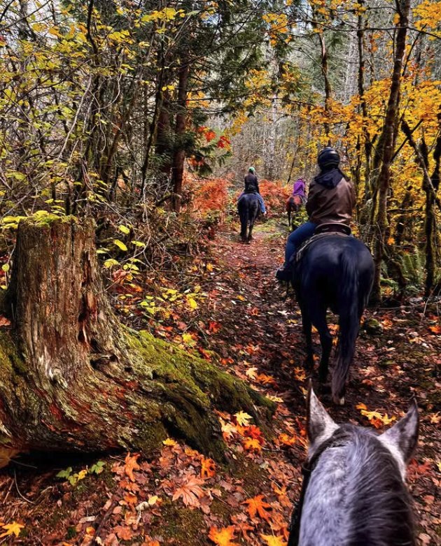 Matcha Horse Riding - equestrian in Atlanta, GA