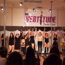 The Vertitude - In studio student showcases