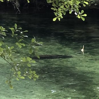 Blue Spring State Park - Parks Near Me - Orange City, Florida Blue Spring State Park - Parks Near Me - Orange City, Florida