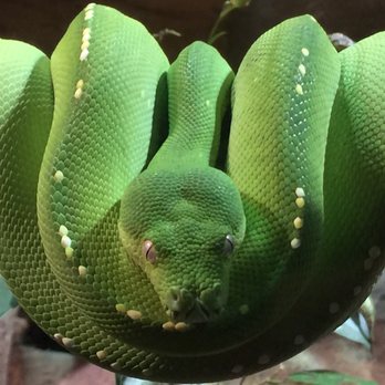 Sydney Wildlife World - Zoos Near Me - Darling Harbour, NSW