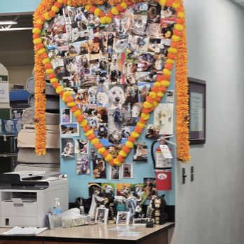Banfield Pet Hospital - Pet Photos - Veterinarians Near Me - Pasadena, California