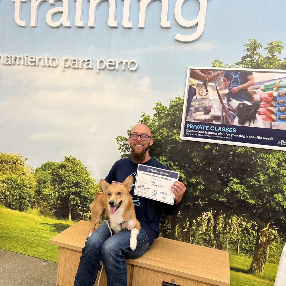 Roy graduated and received his puppy class certificate from Petco positive training instructor, Robert. Roy graduated and received his puppy class certificate from Petco positive training instructor, Robert.