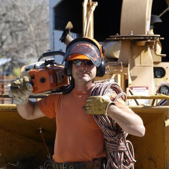 Ray Williamson Jr tree service - Tree Services Near Me - Austin, Texas Ray Williamson Jr tree service - Tree Services Near Me - Austin, Texas