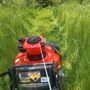 Photo of Nature Needs LawnCare