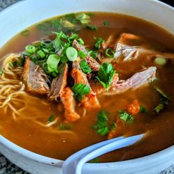 Thai Spice - Duck noodle soup