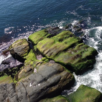 Cliff Walk - Looking down from the cliff walk - Parks Near Me - Newport, Rhode Island
