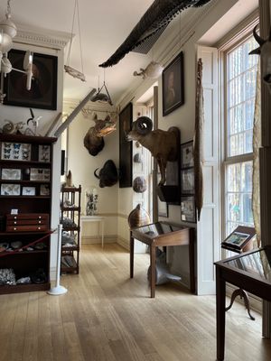 Connecticut's Old State House by null