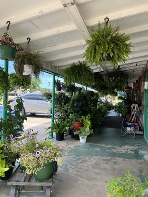 North Richland Hills Farmers Market by null
