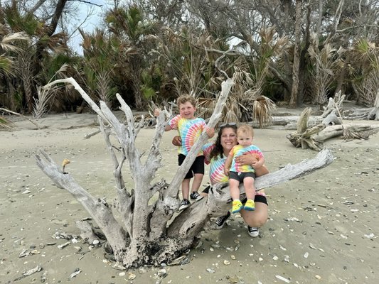 Botany Bay Heritage Preserve/Wildlife Management Area by null