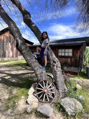 Silver City Ghost Town by null