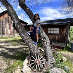Silver City Ghost Town & Antique Village