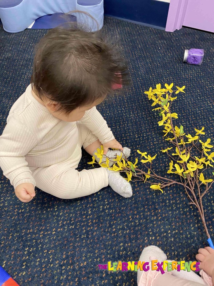 The Learning Experience - Redlands - childcare center in Redlands, CA