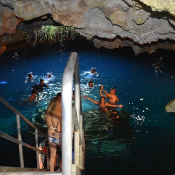 Devil's Den Prehistoric Spring - Scuba Diving Near Me - Williston, Florida Devil's Den Prehistoric Spring - Scuba Diving Near Me - Williston, Florida