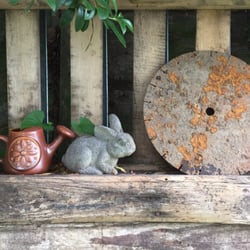 Bud Garden Centre - Love the bud garden centre. Petite but perfectly formed centre of excellence. Friendly and knowledgable owner. community focused
