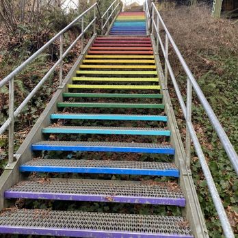 Macleay Park - The colorful stairs! - Parks Near Me - Portland, Oregon Macleay Park - The colorful stairs! - Parks Near Me - Portland, Oregon