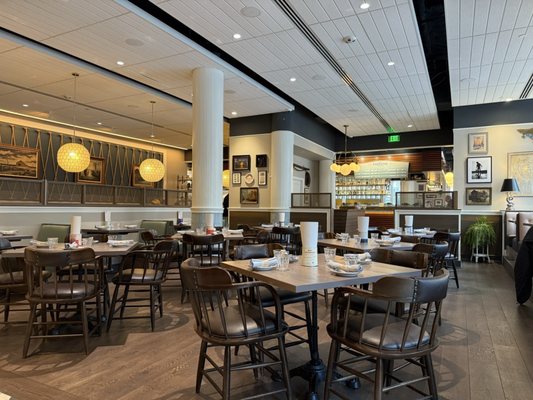 The Salt Line by null