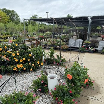 Earl May Garden Center - Only a FRACTION of what they have! - Nurseries & Gardening Near Me - Shawnee, Kansas Earl May Garden Center - Only a FRACTION of what they have! - Nurseries & Gardening Near Me - Shawnee, Kansas