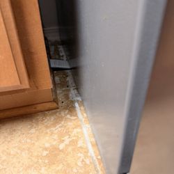 M&M Cleaning and Organizing - Bugs and filth.