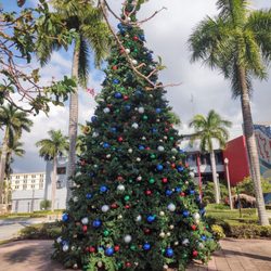 City Hall Hialeah