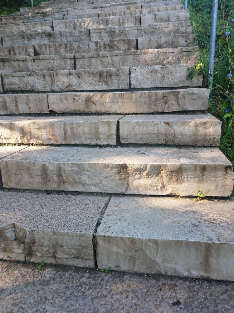 SWALLOW CLIFF WOODS 240 Photos & 102 Reviews Hiking 11918 S La