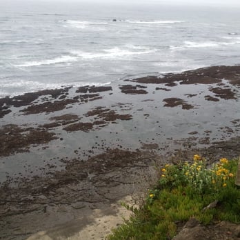 Fitzgerald Marine Reserve - The edge of the cliff that my GSP sent me to when I used "Fitzgerald Marine Reserve" - Parks Near Me - Moss Beach, California Fitzgerald Marine Reserve - The edge of the cliff that my GSP sent me to when I used "Fitzgerald Marine Reserve" - Parks Near Me - Moss Beach, California