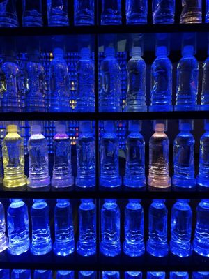 Science Museum of Virginia by null