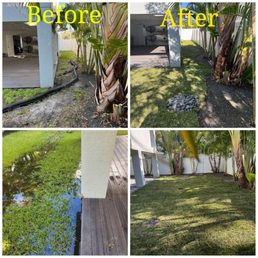 Our yard before Chris came to fix it and after.
