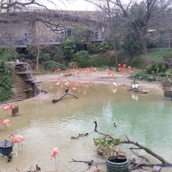 Dallas Zoo - Zoos Near Me - Dallas, Texas Dallas Zoo - Zoos Near Me - Dallas, Texas
