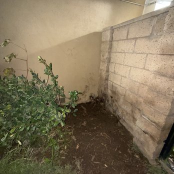 J Rodriguez Tree Care Maintenance - After - Tree Services Near Me J Rodriguez Tree Care Maintenance - After - Tree Services Near Me