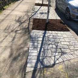 Really loved having Patrick and the crew come out and fix our problem parking strip. They took it from dead grass to beautiful. Really loved having Patrick and the crew come out and fix our problem parking strip. They took it from dead grass to beautiful.
