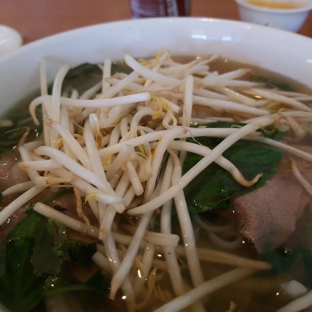 Saigon Jade Restaurant - Pho with fresh veggies! - Vietnamese Near Me - Mesa, Arizona Saigon Jade Restaurant - Pho with fresh veggies! - Vietnamese Near Me - Mesa, Arizona