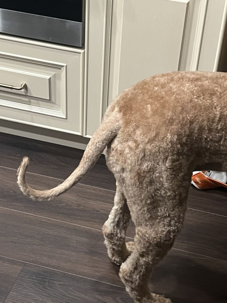 o Jupiter Florida Real Estate For Sale