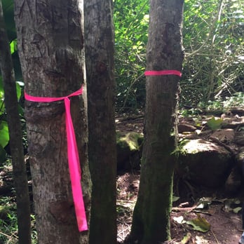 Likeke Falls - Hiking Near Me - Honolulu, Hawaii Likeke Falls - Hiking Near Me - Honolulu, Hawaii