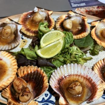 Embarcadero 41 - Seafood Near Me - Coral Springs, Florida Embarcadero 41 - Seafood Near Me - Coral Springs, Florida