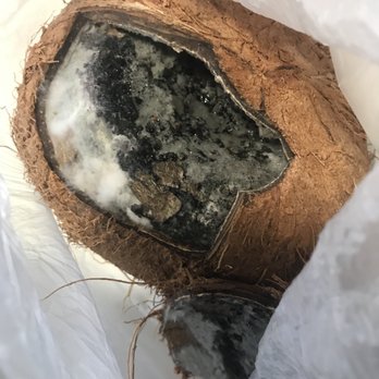 Vik's Market - the inside of a coconut shell - International Grocery Near Me - Berkeley, California