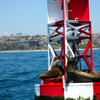 Fun Zone Boat Company - up close and personal - Boating Near Me - Newport Beach, California
