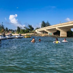 Ocean Pro Adventure - Snorkeling and relaxing
