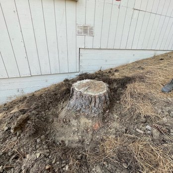 Mason's Treescape - Tree Services Near Me - Hesperia, California Mason's Treescape - Tree Services Near Me - Hesperia, California