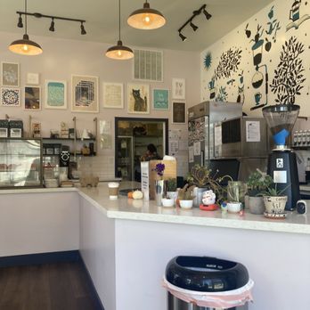 Academic Coffee - Inside - Bakeries Near Me - San Jose, California